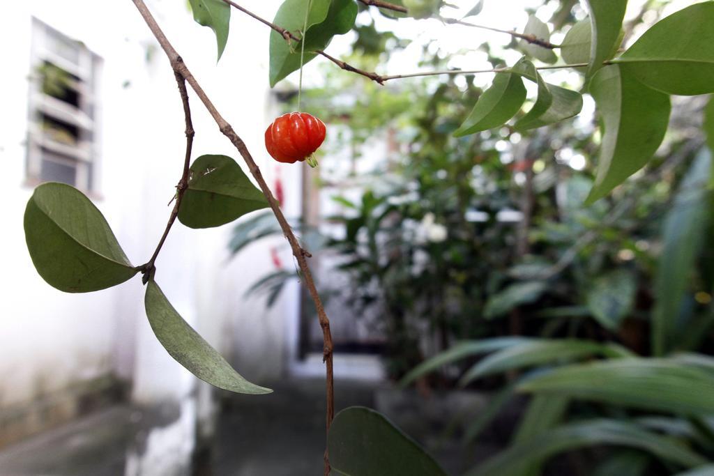 Casa Em Meio A Natureza - Ideal Para Casal ริโอเดจาเนโร ภายนอก รูปภาพ